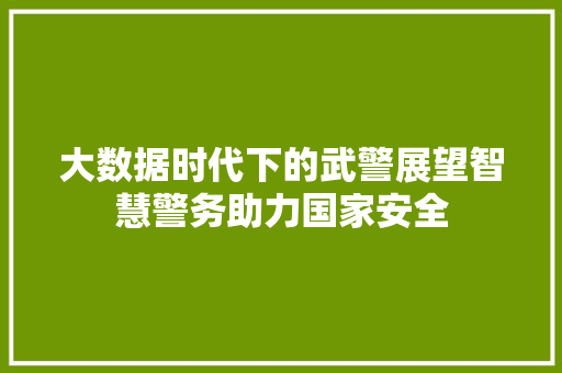 大数据时代下的武警展望智慧警务助力国家安全