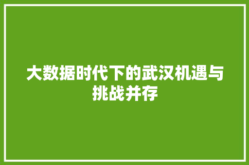 大数据时代下的武汉机遇与挑战并存  第1张