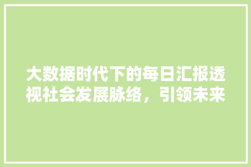 大数据时代下的每日汇报透视社会发展脉络，引领未来趋势