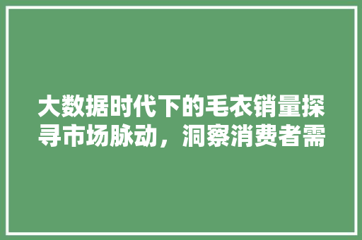 大数据时代下的毛衣销量探寻市场脉动，洞察消费者需求