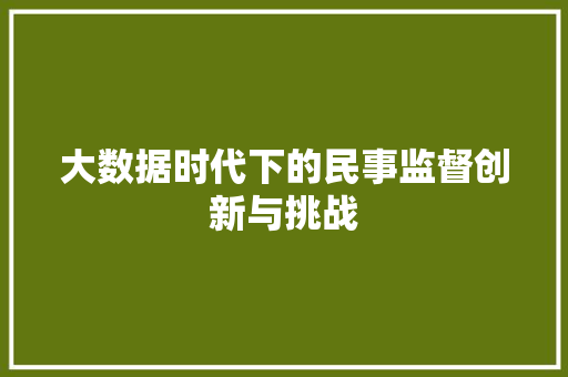 大数据时代下的民事监督创新与挑战
