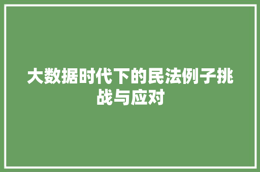 大数据时代下的民法例子挑战与应对