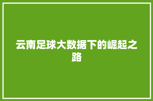 云南足球大数据下的崛起之路