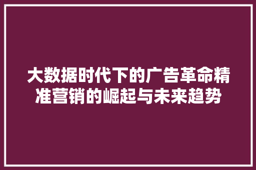 大数据时代下的广告革命精准营销的崛起与未来趋势  第1张