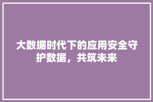 大数据时代下的应用安全守护数据，共筑未来  第1张