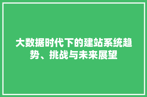大数据时代下的建站系统趋势、挑战与未来展望  第1张