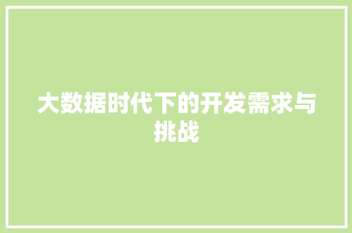 大数据时代下的开发需求与挑战