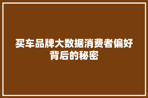 买车品牌大数据消费者偏好背后的秘密  第1张