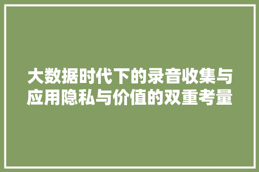 大数据时代下的录音收集与应用隐私与价值的双重考量的探索