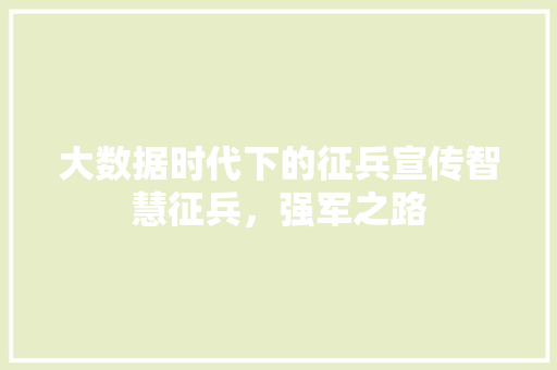 大数据时代下的征兵宣传智慧征兵，强军之路