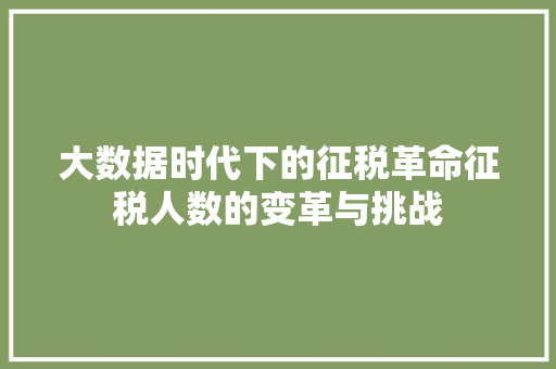 大数据时代下的征税革命征税人数的变革与挑战