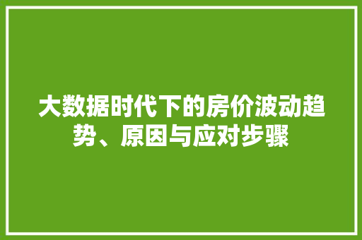 大数据时代下的房价波动趋势、原因与应对步骤