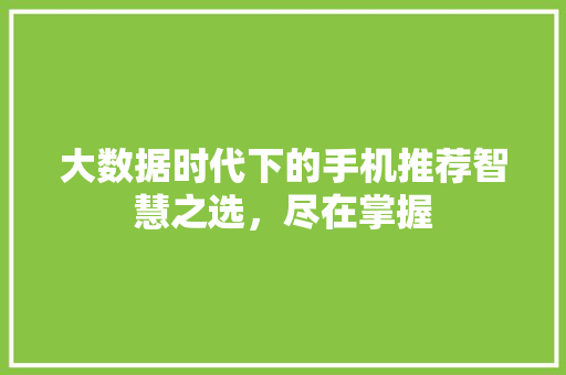 大数据时代下的手机推荐智慧之选，尽在掌握  第1张