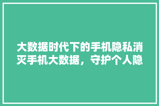 大数据时代下的手机隐私消灭手机大数据，守护个人隐私的必然选择  第1张