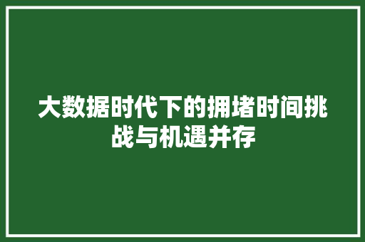 大数据时代下的拥堵时间挑战与机遇并存  第1张