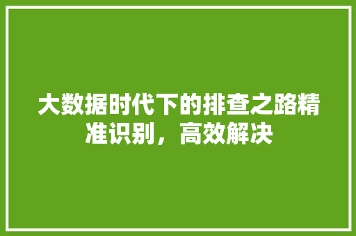 大数据时代下的排查之路精准识别，高效解决  第1张