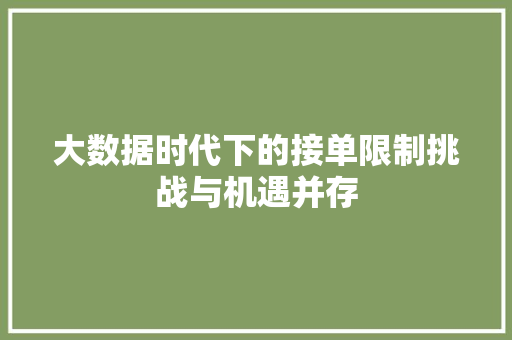 大数据时代下的接单限制挑战与机遇并存  第1张