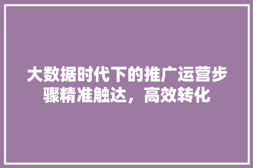 大数据时代下的推广运营步骤精准触达，高效转化  第1张