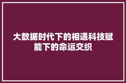 大数据时代下的相遇科技赋能下的命运交织