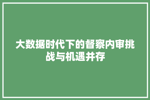 大数据时代下的督察内审挑战与机遇并存