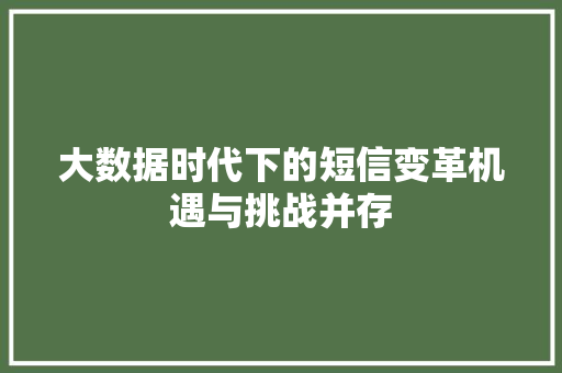 大数据时代下的短信变革机遇与挑战并存  第1张