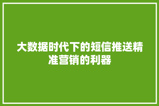 大数据时代下的短信推送精准营销的利器