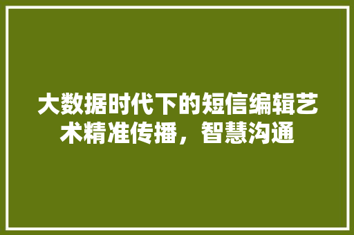 大数据时代下的短信编辑艺术精准传播，智慧沟通