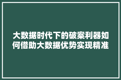 大数据时代下的破案利器如何借助大数据优势实现精准打击犯罪