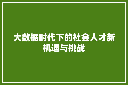 大数据时代下的社会人才新机遇与挑战  第1张