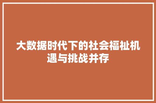 大数据时代下的社会福祉机遇与挑战并存