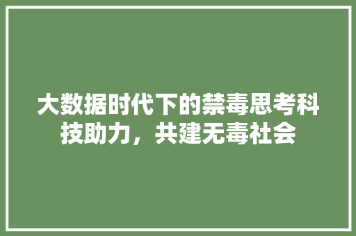 大数据时代下的禁毒思考科技助力，共建无毒社会