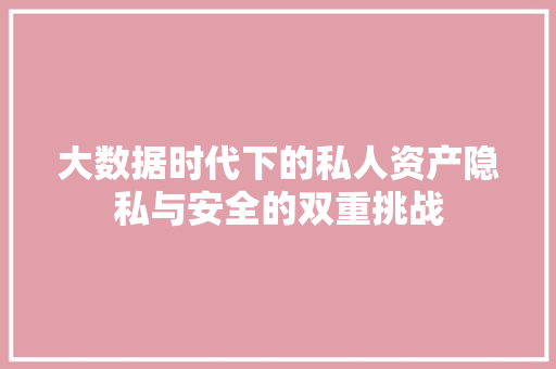 大数据时代下的私人资产隐私与安全的双重挑战