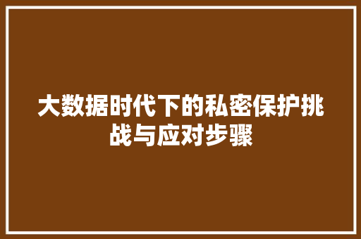 大数据时代下的私密保护挑战与应对步骤  第1张