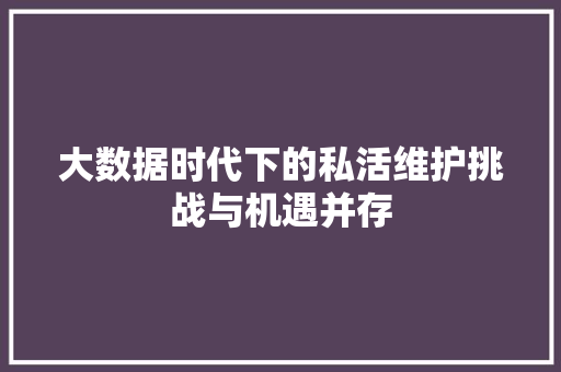 大数据时代下的私活维护挑战与机遇并存