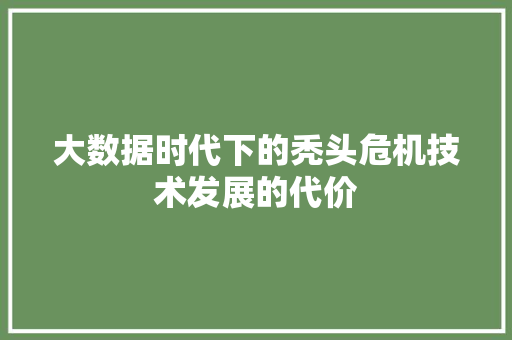 大数据时代下的秃头危机技术发展的代价