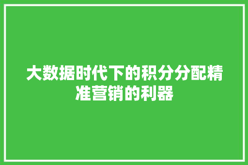 大数据时代下的积分分配精准营销的利器