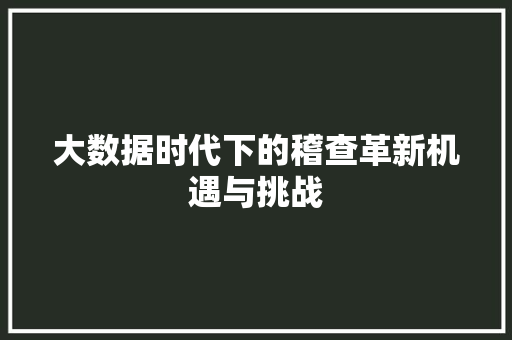 大数据时代下的稽查革新机遇与挑战  第1张