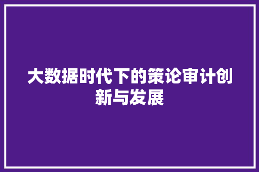 大数据时代下的策论审计创新与发展  第1张