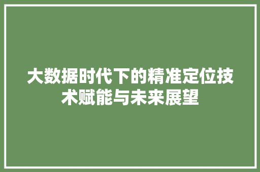 大数据时代下的精准定位技术赋能与未来展望  第1张