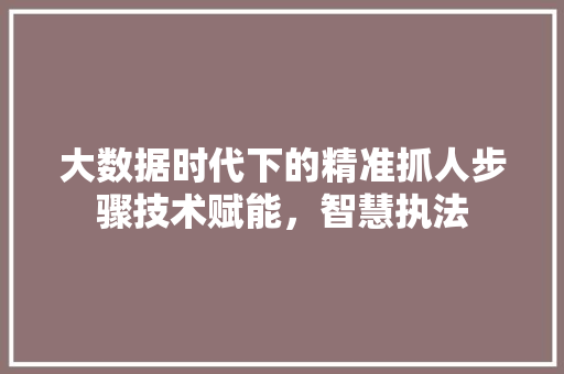 大数据时代下的精准抓人步骤技术赋能，智慧执法