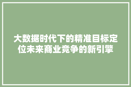 大数据时代下的精准目标定位未来商业竞争的新引擎  第1张