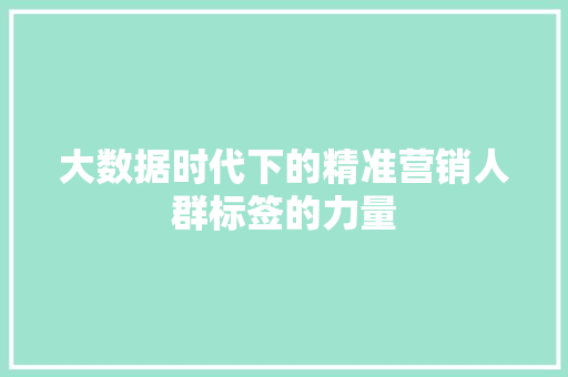 大数据时代下的精准营销人群标签的力量  第1张