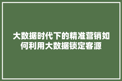 大数据时代下的精准营销如何利用大数据锁定客源
