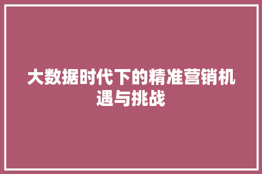 大数据时代下的精准营销机遇与挑战  第1张