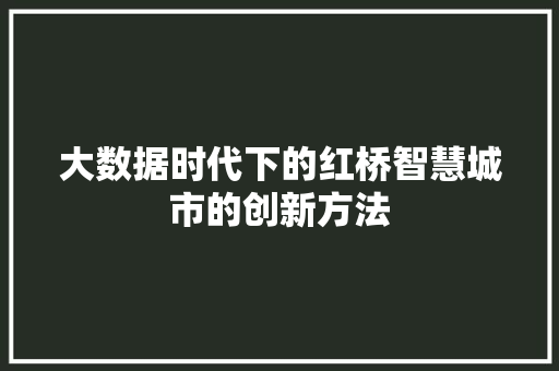 大数据时代下的红桥智慧城市的创新方法