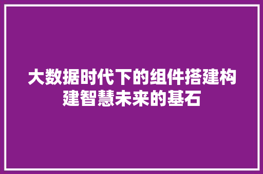 大数据时代下的组件搭建构建智慧未来的基石  第1张