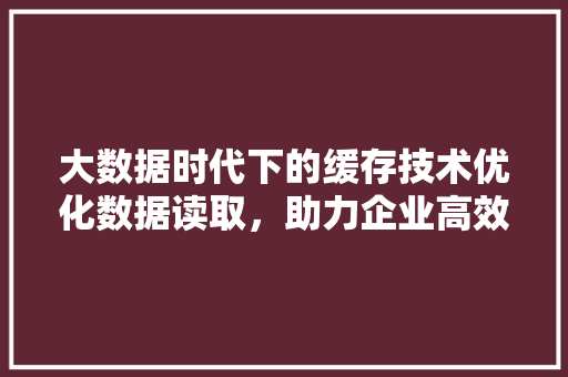 大数据时代下的缓存技术优化数据读取，助力企业高效发展  第1张