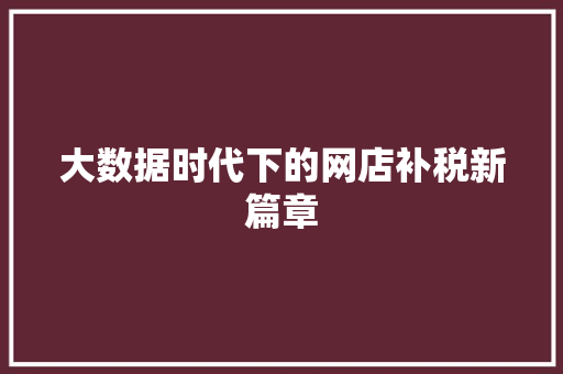 大数据时代下的网店补税新篇章  第1张