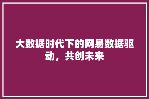大数据时代下的网易数据驱动，共创未来
