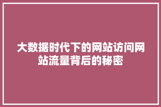 大数据时代下的网站访问网站流量背后的秘密